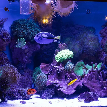 Panda Tourist Penzión pre hostí *